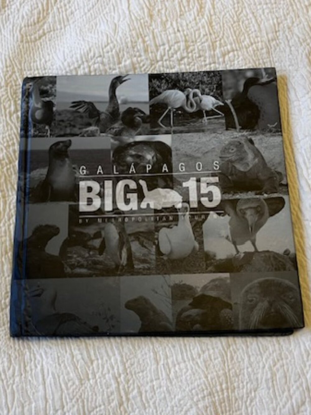 Galapagos Big 15 Book